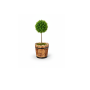 wood plant pot 3 وعاء نباتات خشبي .png